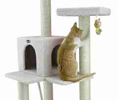 Cat Tree Review Guide