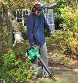 Leaf Blower Review Guide