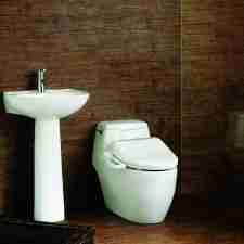 Best bidet toilet seat review guide