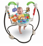 Baby Bouncer Review Guide
