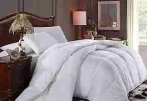 Royal Hotel's 300 Thread Count Goose Down Alternative Comforter