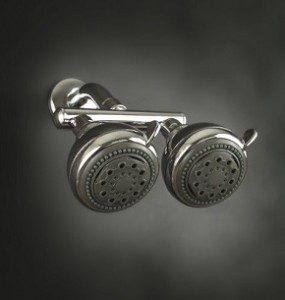 Neptune Dual Shower Heads