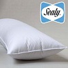 Sealy Down Alternative Extra Long Body Pillow