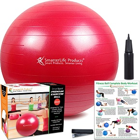 SmarterLife Products Premium Exercise and Stability Ball