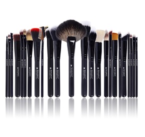 SHANY Pro Signature Brush Set