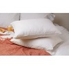 Queen Size White Goose Feather and Goose Down Pillow