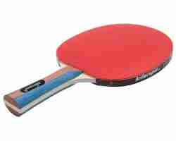 best-ping-pong-paddle-review-guide