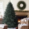 Balsam-Hill-Classic-Blue-Spruce-Artificial-Christmas-Tree