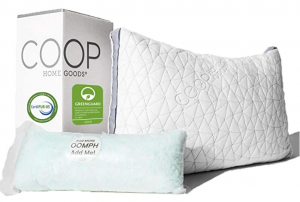 Coop Home Goods Eden Shredded Memory Foam Pillow